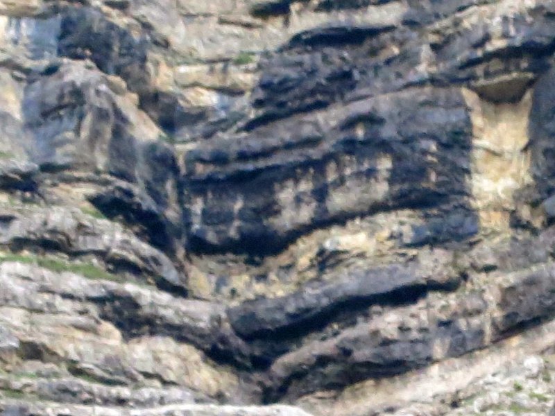 150730_Steilwand_beim Abstieg_2.jpg - 30.07.2015 - Kreuzspitze - Steilwand beim Abstieg (Detail)  Lea, Lennart, Anton, Helmuth 